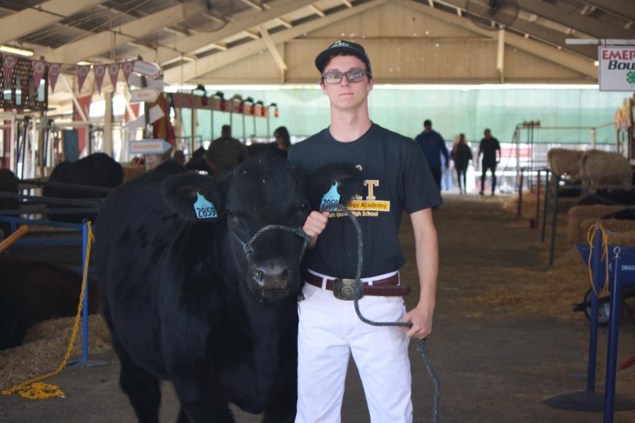 FFA student, Alex Cross, with his steer Ivan.
