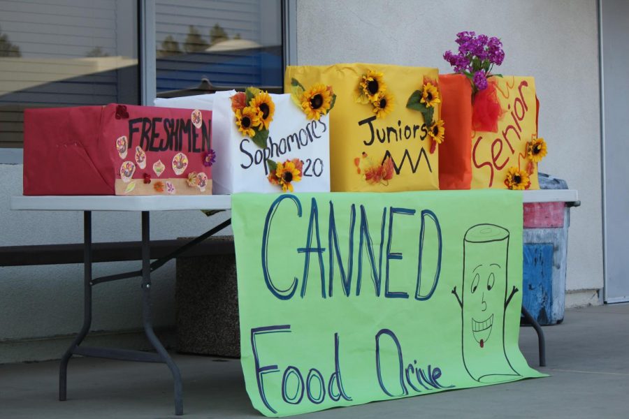 Canned food donation boxes available in the quad