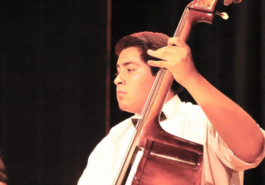 Marcos Alfaro playing the bass in the string orchestra