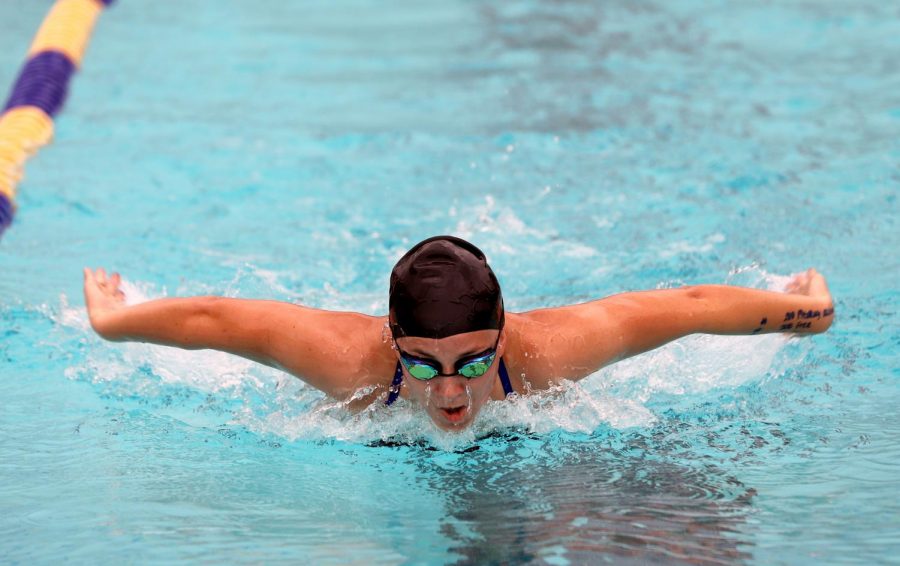 Breann Bracken competed this season for swimming. 