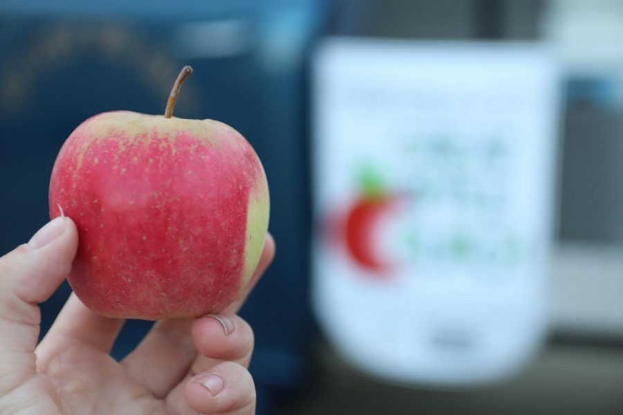 Garden Club brought fresh apples to students during the Big Apple Crunch.
