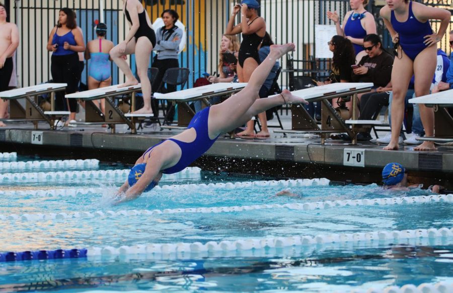 One of Taft Highs swim team members diving into the water during the meet.