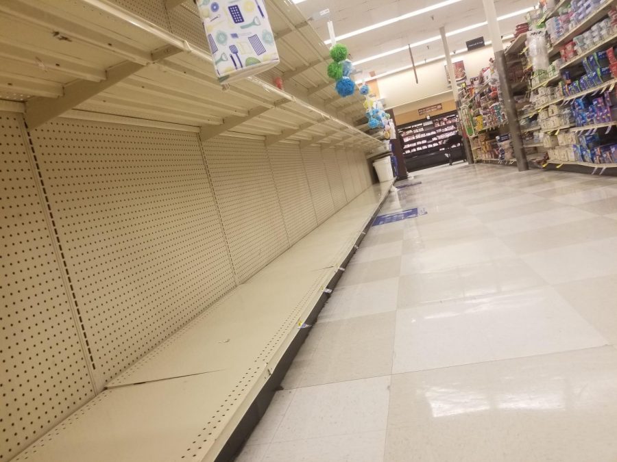 This is an up close look at the paper towel and bath tissue isle in Albertsons.