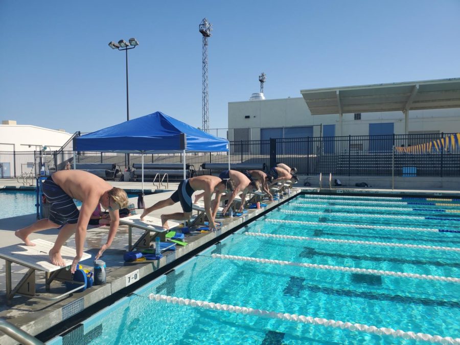 Swim team practicing 